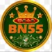 BN55 Game