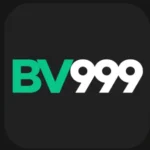 BV999 Game